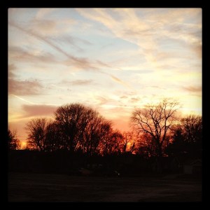 556710_10102305150172439_202226100_n