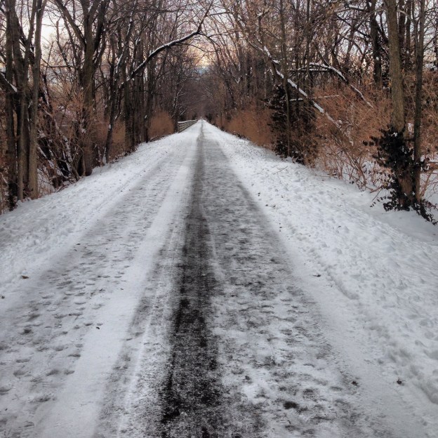 Snowy 5-Miler 